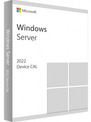 Windows Server 2022 CAL - 1 Device CAL - 1 year