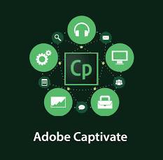Adobe Captivate for teams Level 4 100+ Продление